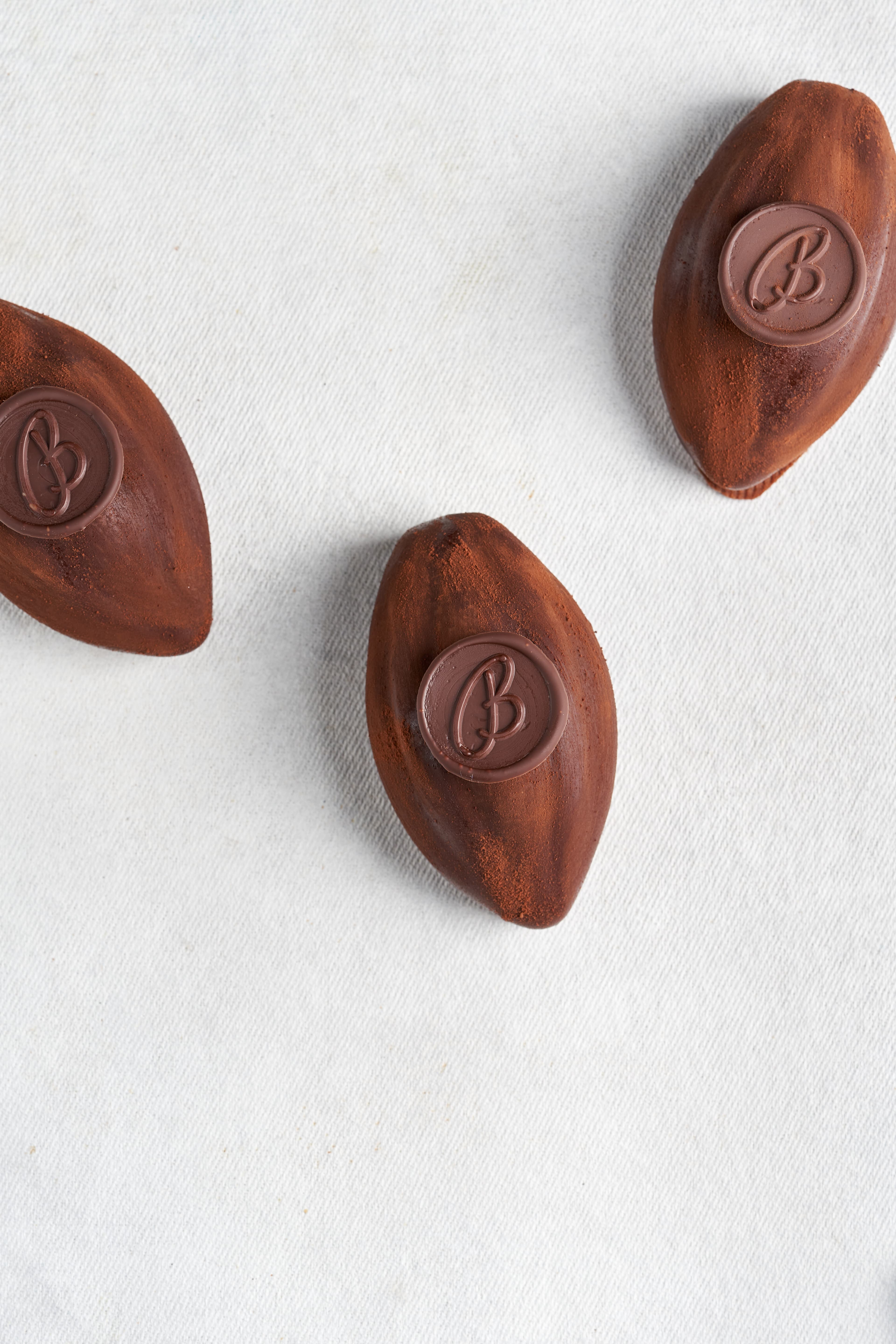 Bombones de cacao